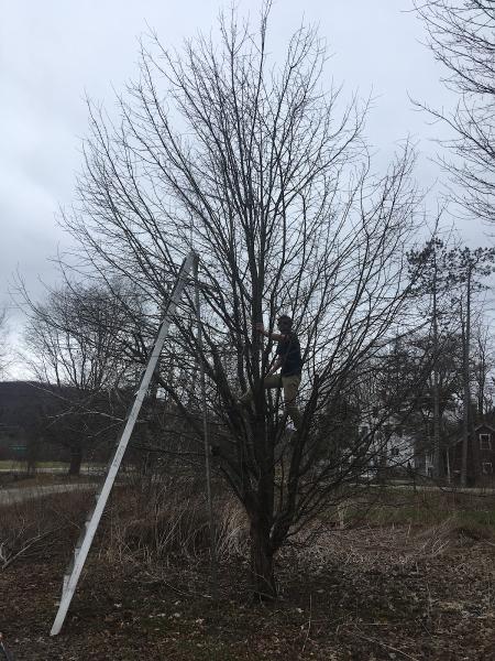 Eco-Arborcare