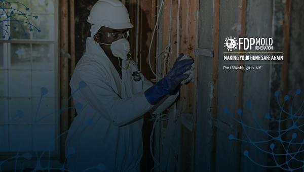 FDP Mold Remediation