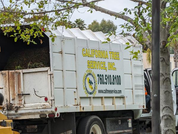 California Tree Service