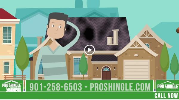 Pro Shingle Roofing