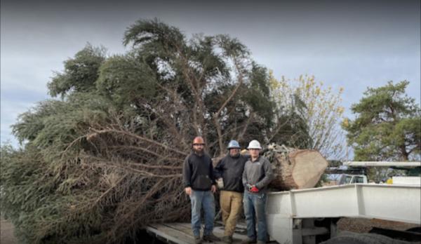 Qualitree Inc