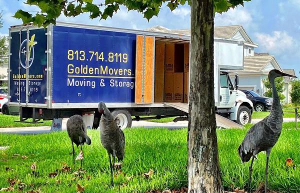 Golden Movers LLC