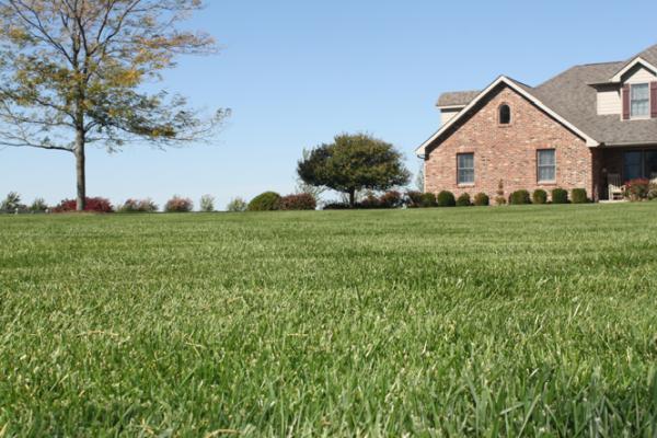 List Lawn Care Inc.