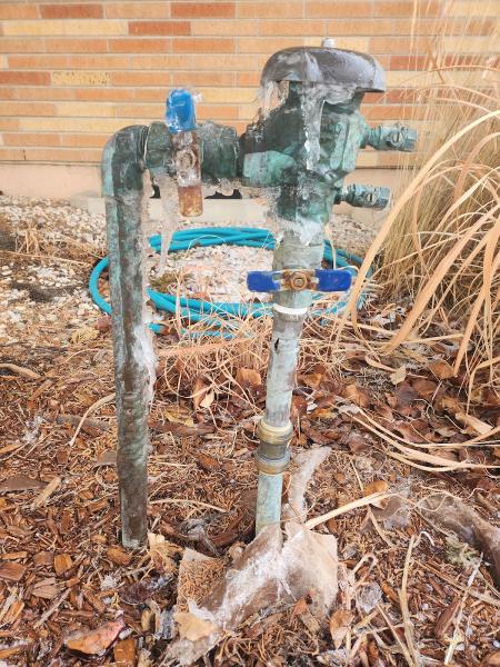 Handyman & Sprinkler Services
