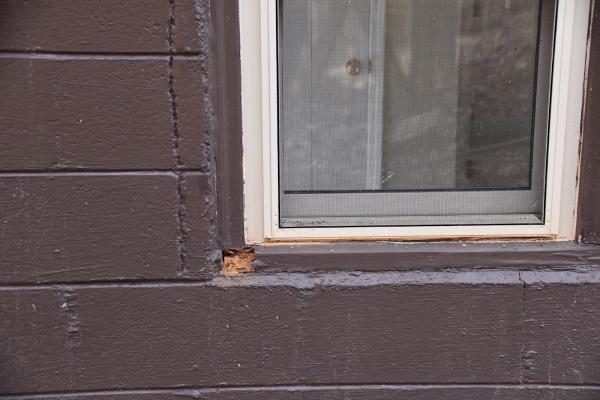 Building Science Home Inspections