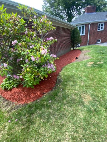 4seasons Tree Service & Landscaping LLC