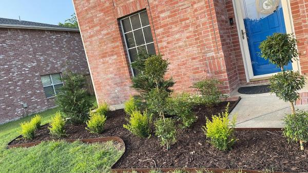 Valley Wide Tree Service
