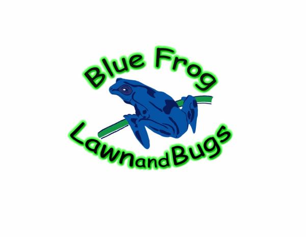 Blue Frog Lawn & Bugs
