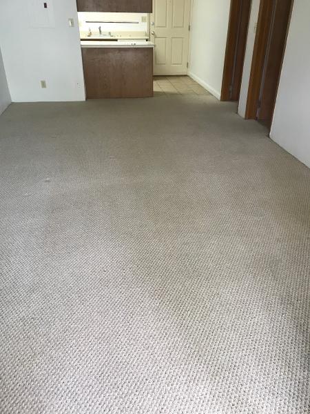 Neil's Carpet Cleaning