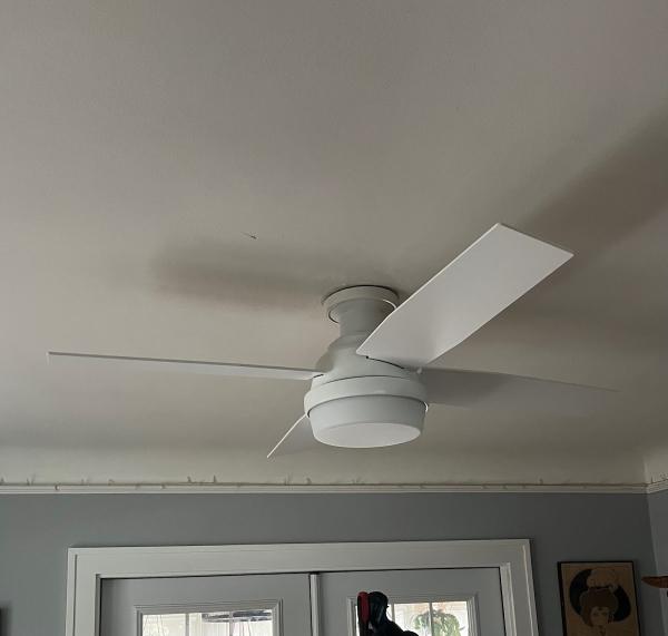 White Tail Electrical