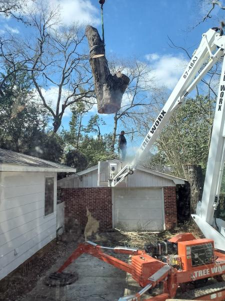 Tree Worx