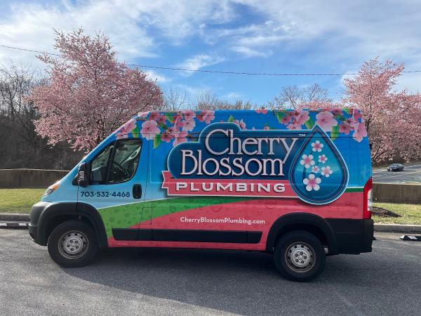 Cherry Blossom Plumbing