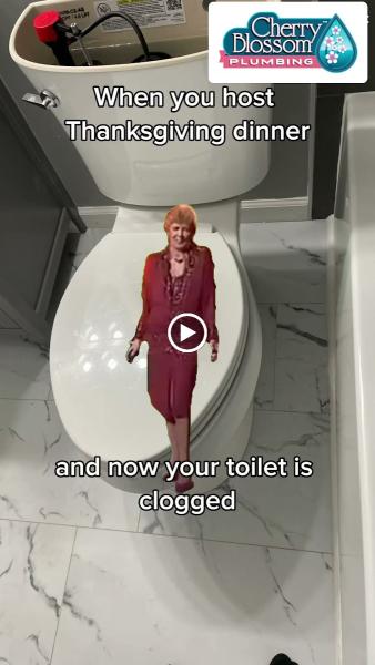 Cherry Blossom Plumbing