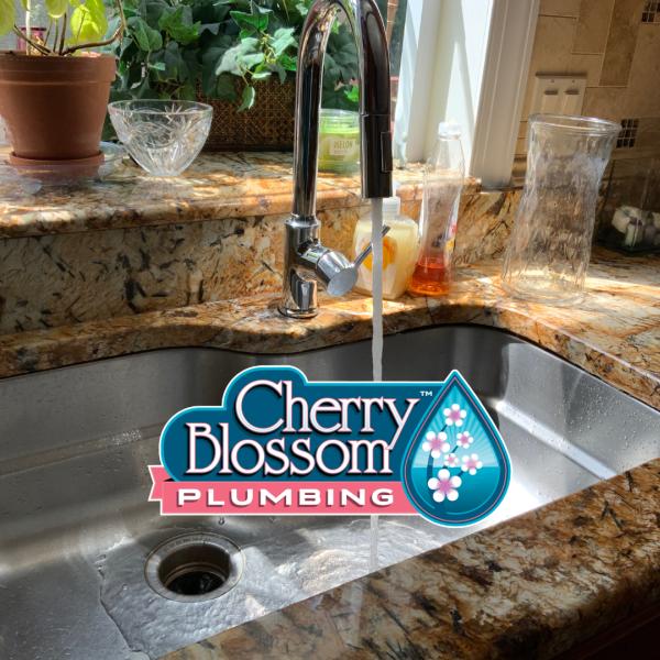 Cherry Blossom Plumbing