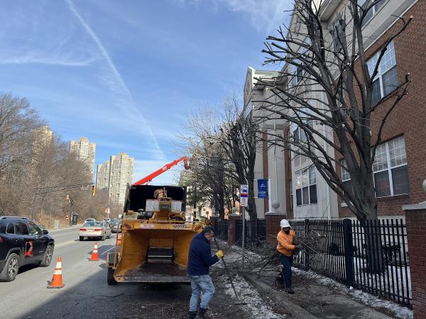 Garden Tree Services