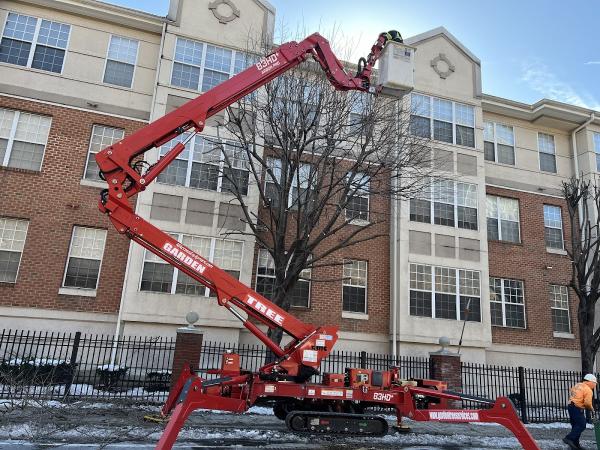 Garden Tree Services