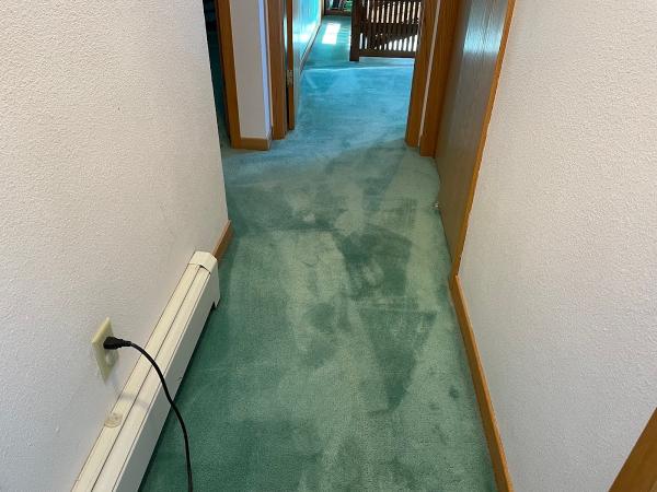 Pristine Carpet Care LLC