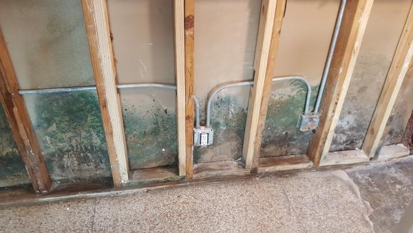 Mold Remediation & Removal Burlingame