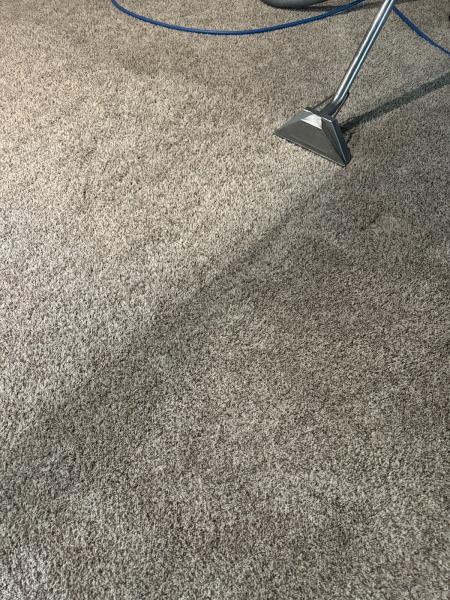 Power Steam Carpet Cleaning