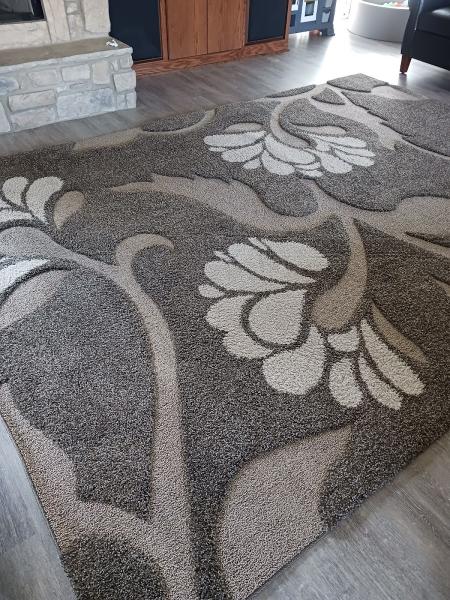 Power Steam Carpet Cleaning