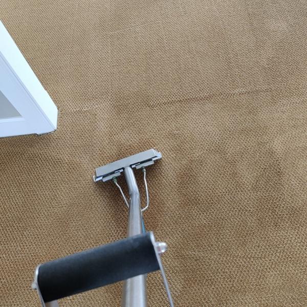 Carpet MD