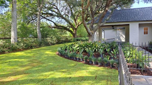 Leeson Landscape Care