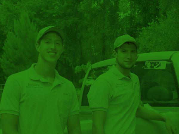 Balogh's Extra Lawn Care