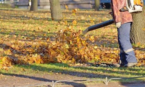 Mike High Lawn Service