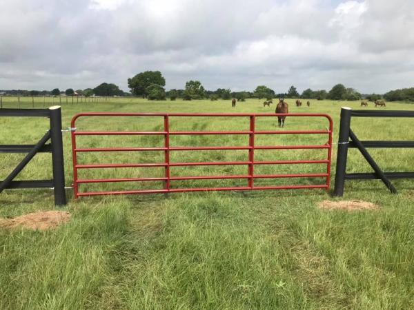 Parris Fencing