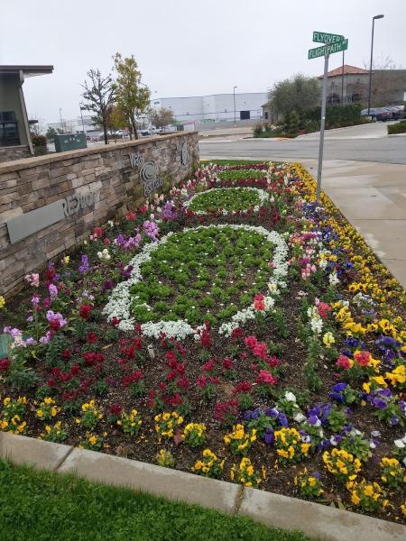 Icos Gardening Landscape