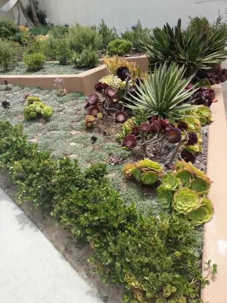 Icos Gardening Landscape