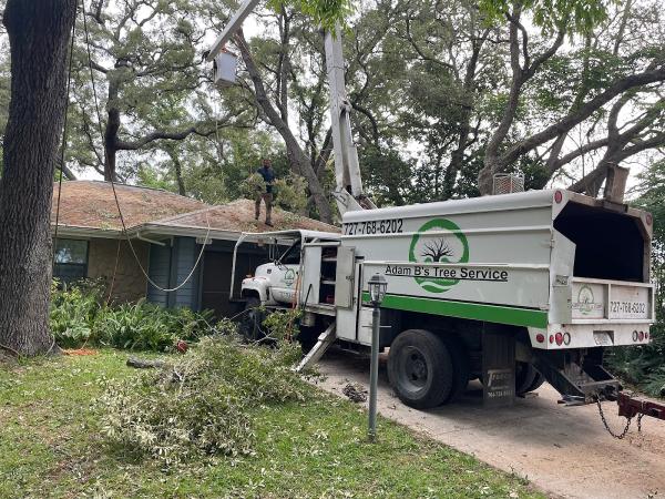 Adam B's Tree Service
