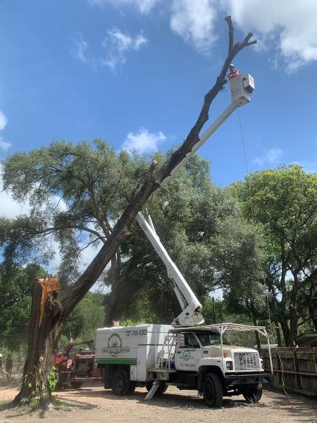 Adam B's Tree Service