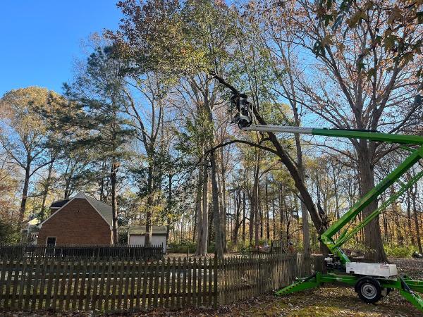 757 Lawn and Trees