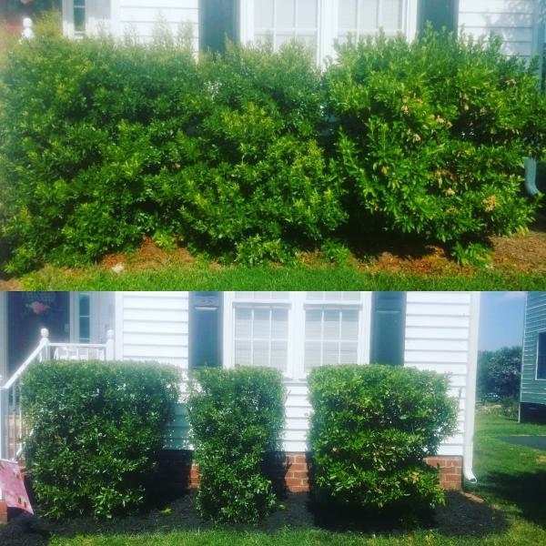 Dream Holloway Lawn Care Services