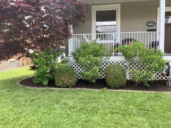 Young Entrepreneur Landscaping LLC
