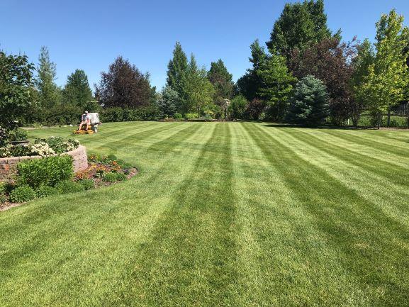 Blue Ridge Lawn