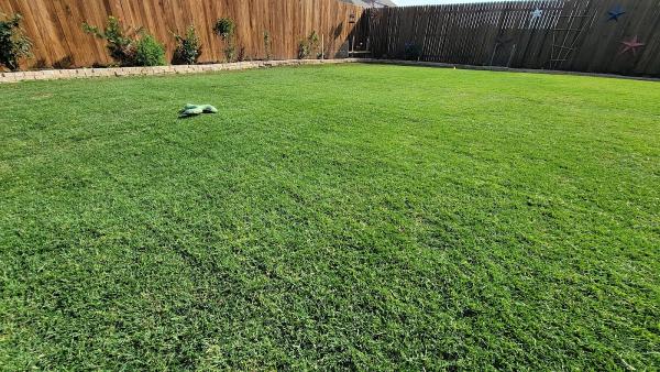 Committed Lawn Care