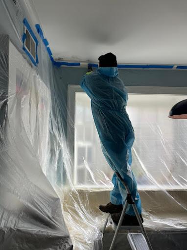 Green Guard Mold Remediation Plainfield