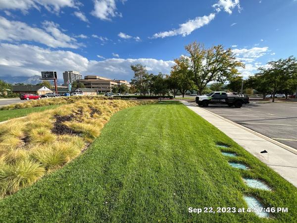 Green IQ Lawn Care and Pest Control