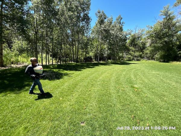 Green IQ Lawn Care and Pest Control