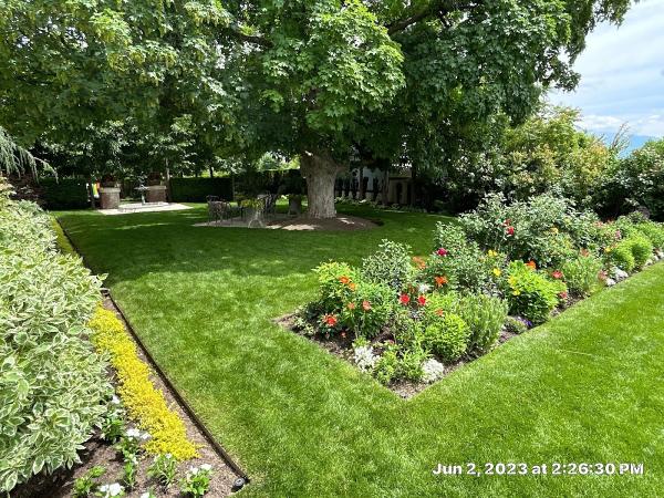 Green IQ Lawn Care and Pest Control