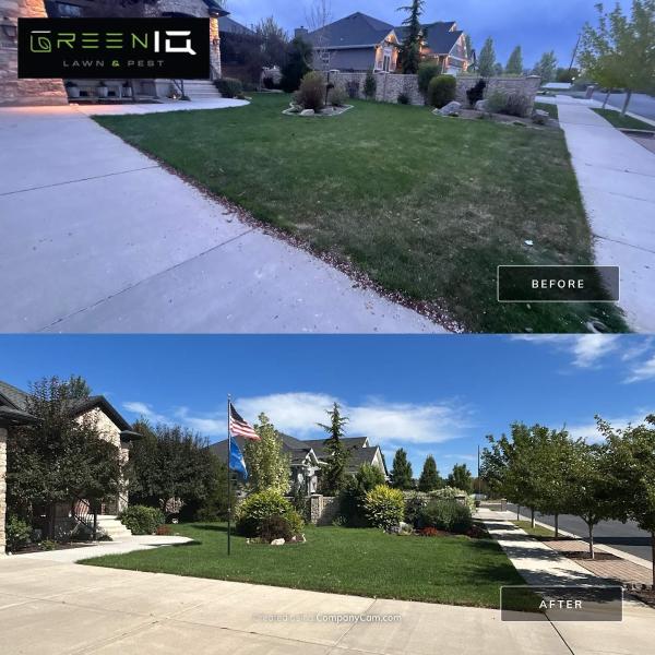 Green IQ Lawn Care and Pest Control