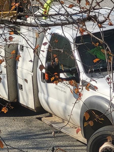 Southeastern Tree Surgeons LLC