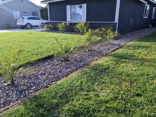Pro Savannah Landscaping