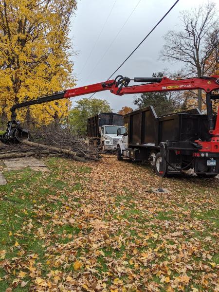 Urban Tree Care by Jim Whelan