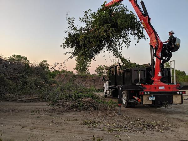 Urban Tree Care by Jim Whelan