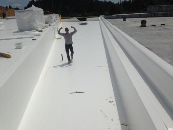 Roofing Solutions NW
