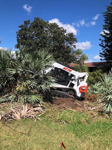 Florida Tree Care Services