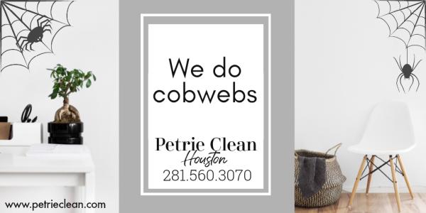 Petrie Clean LLC